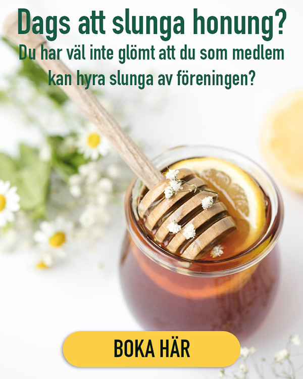 Burk med honung ovanifrån och texten: 'Dags att slunga honung? Du har väl inte glömt att du som medlem kan hyra slunga av föreningen?'