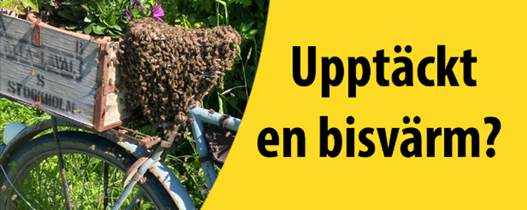Vykel med bisvärm på saddeln och texten 'Upptäckt en bisvärm?'