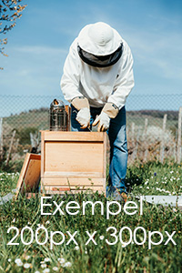 Biodlare som arbetar i bikupa med texten 'Exempel 200px x 300px'